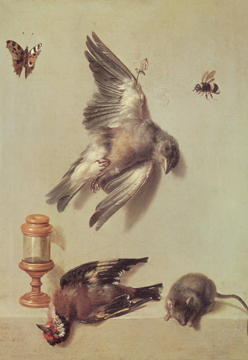 Stilleben av døde fugler og en mus, 1712 av Jean Baptiste Oudry