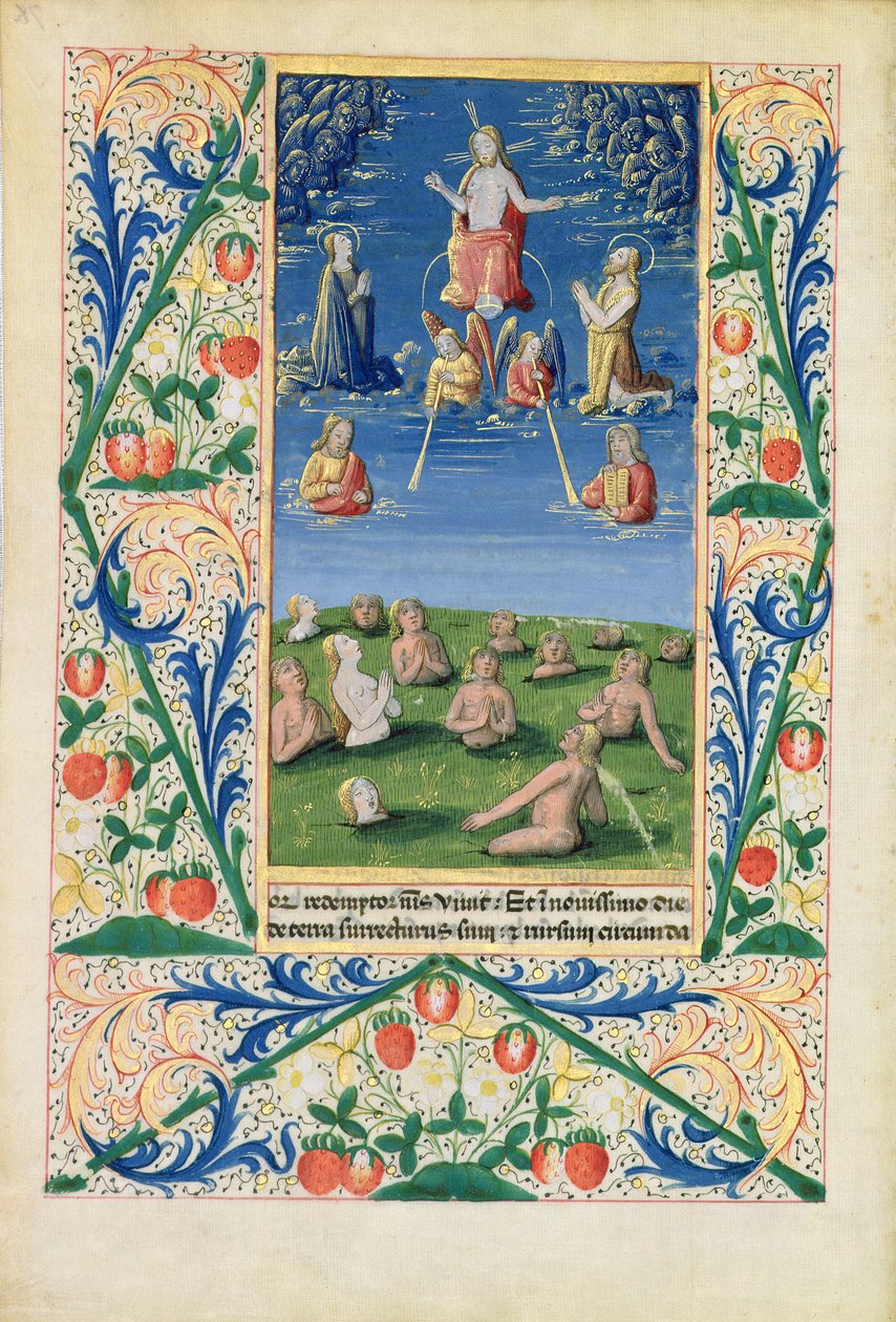 Ms Lat. Q.v.I.126 f.78v Resurrection of the Saved, fra 