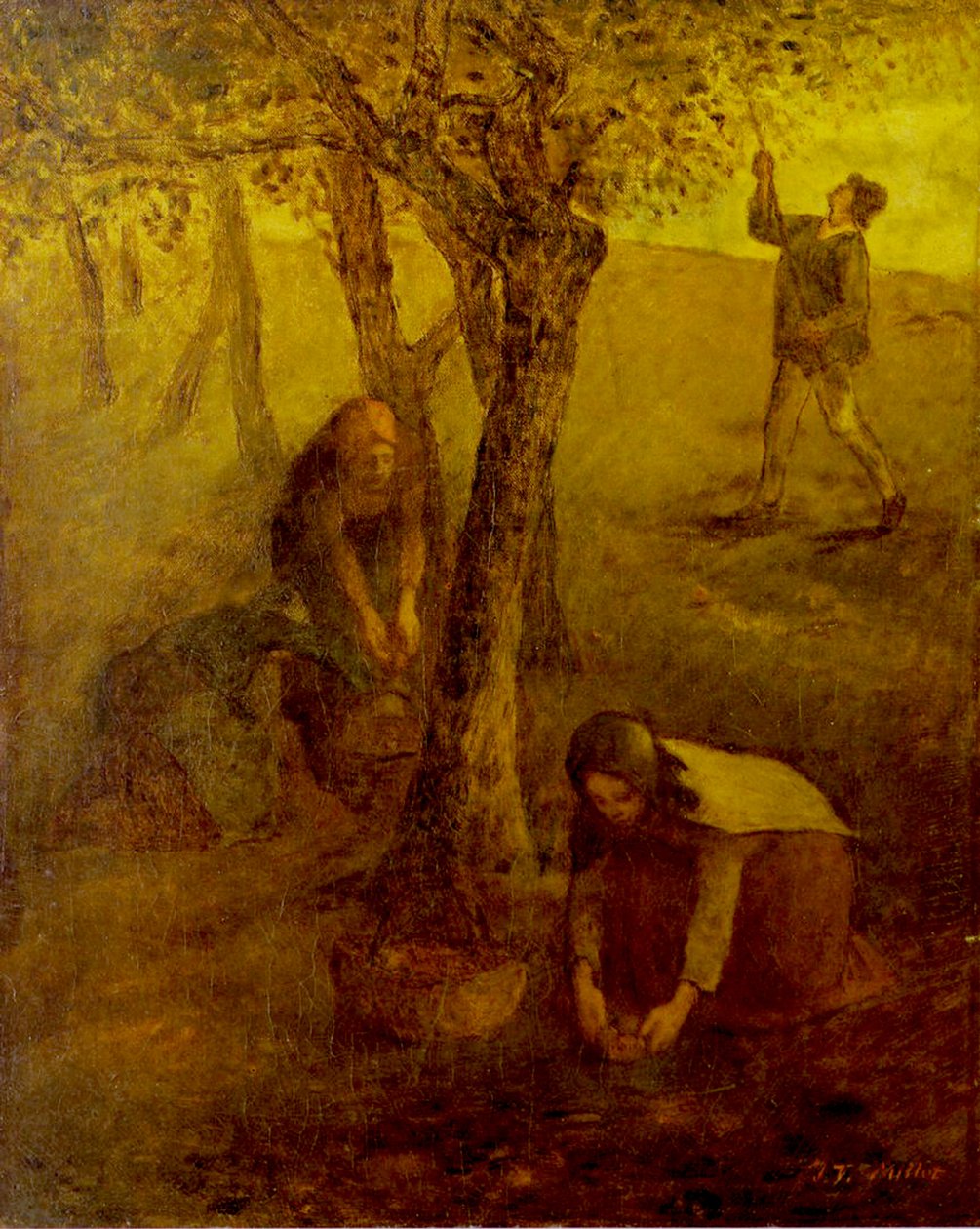 Samler epler av Jean Francois I Millet