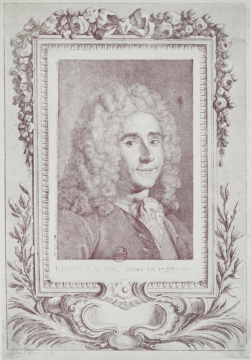 Rene Antoine Ferchault de Reaumur (1683–1757) av Jean Guillaume Blanchon