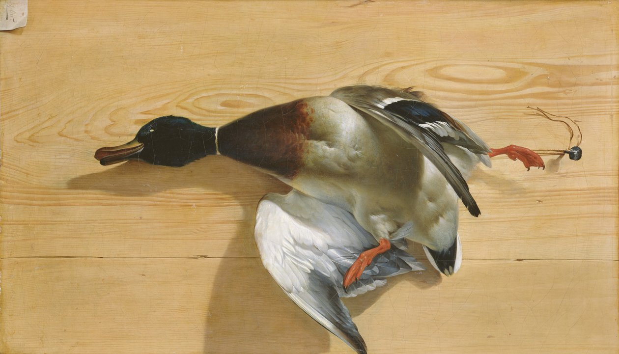 En and på et furubrett, 1753 av Jean Jacques Bachelier