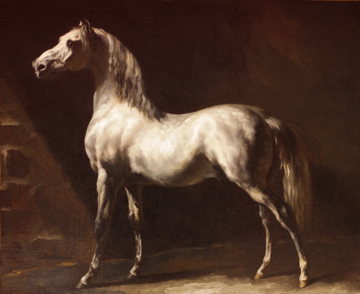 Gråhvit arabisk hest av Theodore Gericault