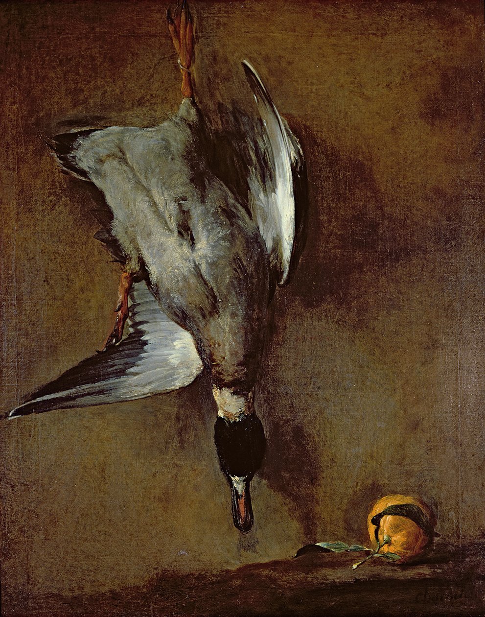 En stokkand som henger på en vegg med en Sevilla-appelsin, 1720-30 olje og lerret) av Jean Baptiste Simeon Chardin