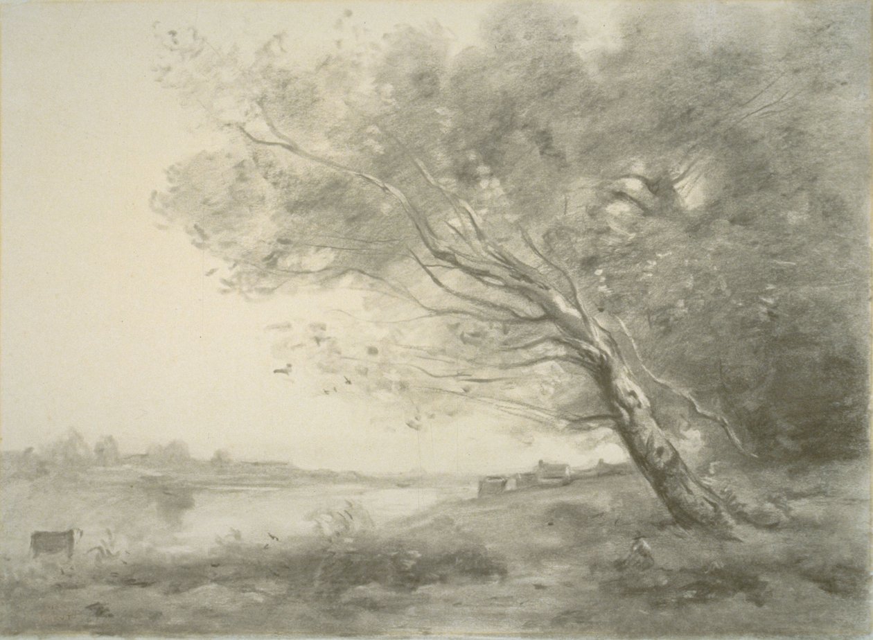 Bøyd tre ved vannet av Jean-Baptiste-Camille Corot