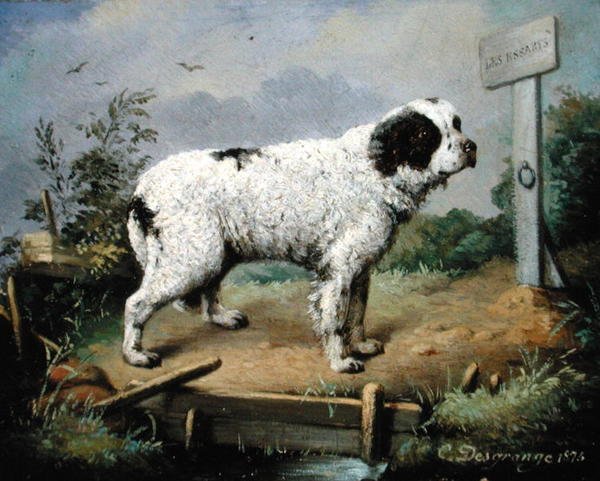 Et Newfoundland på en voll av Jean Baptiste Desgrange