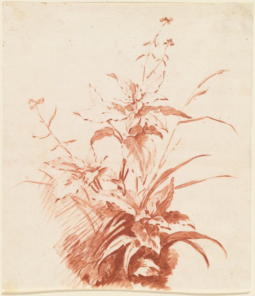 Blühende Pflanze mit Gras av Jean-Baptiste Huet