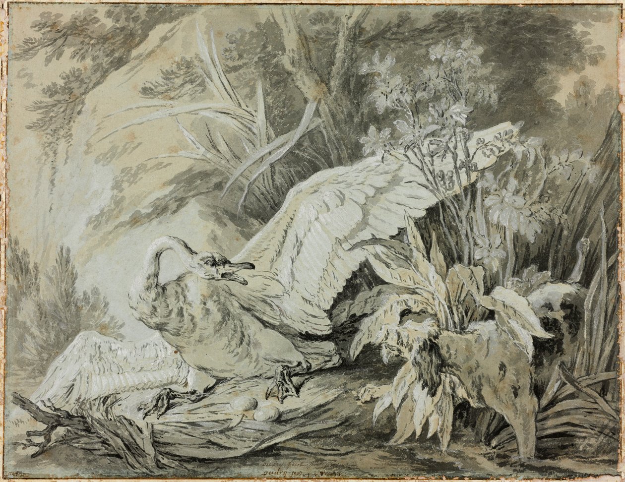 En vill svane angrepet av en hund av Jean-Baptiste Oudry