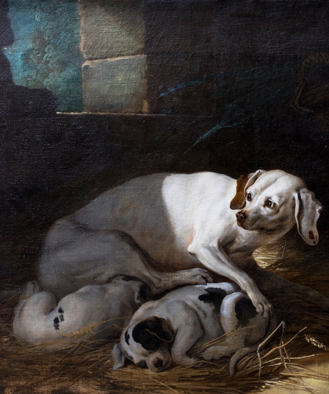 Hund som ammer ungen sin av Jean-Baptiste Oudry