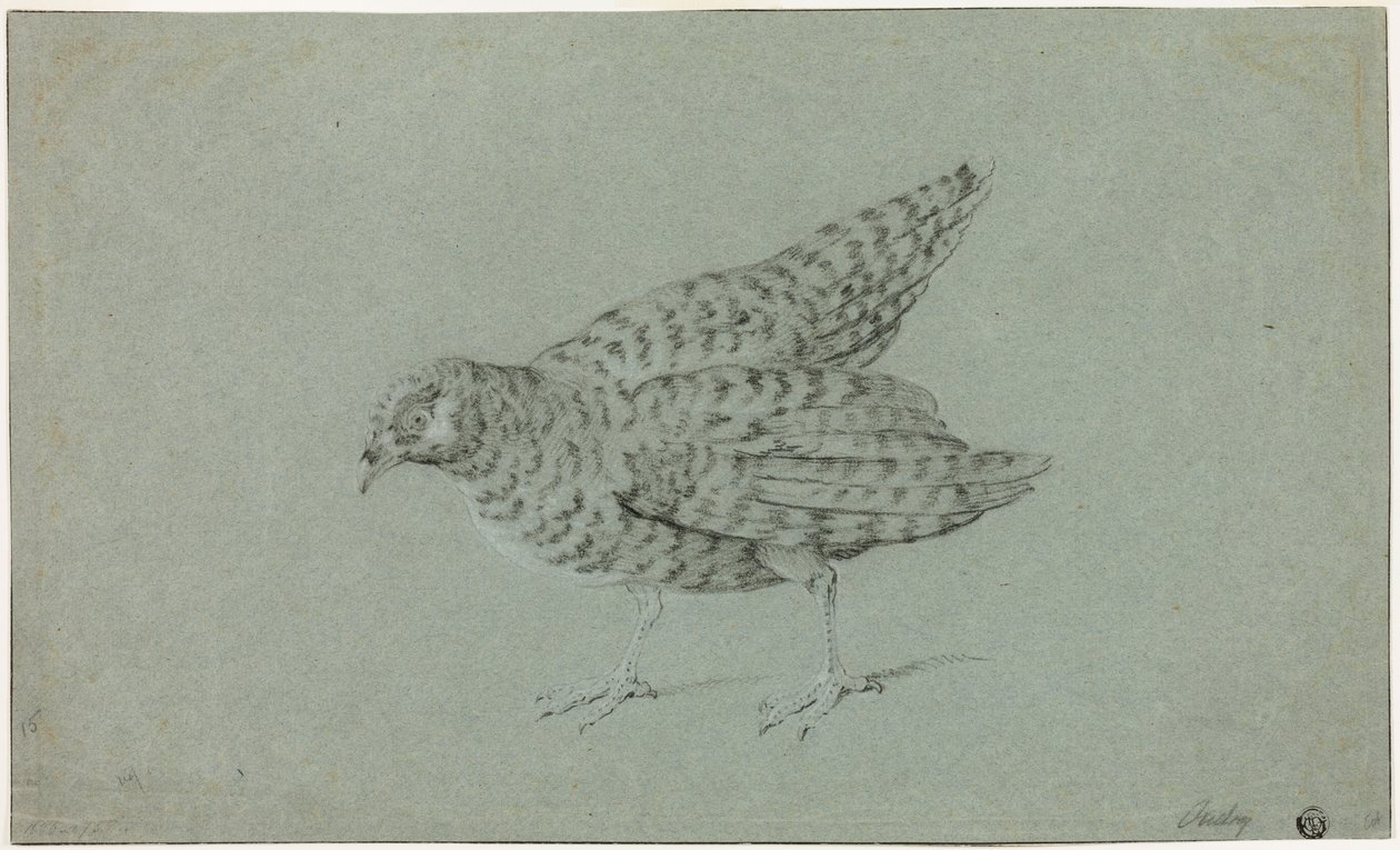 Rapphøne av Jean-Baptiste Oudry
