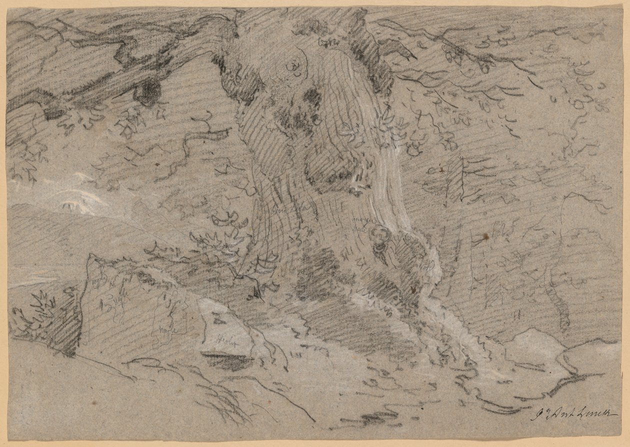 Studie av gammel trestamme av Jean Antoine Linck