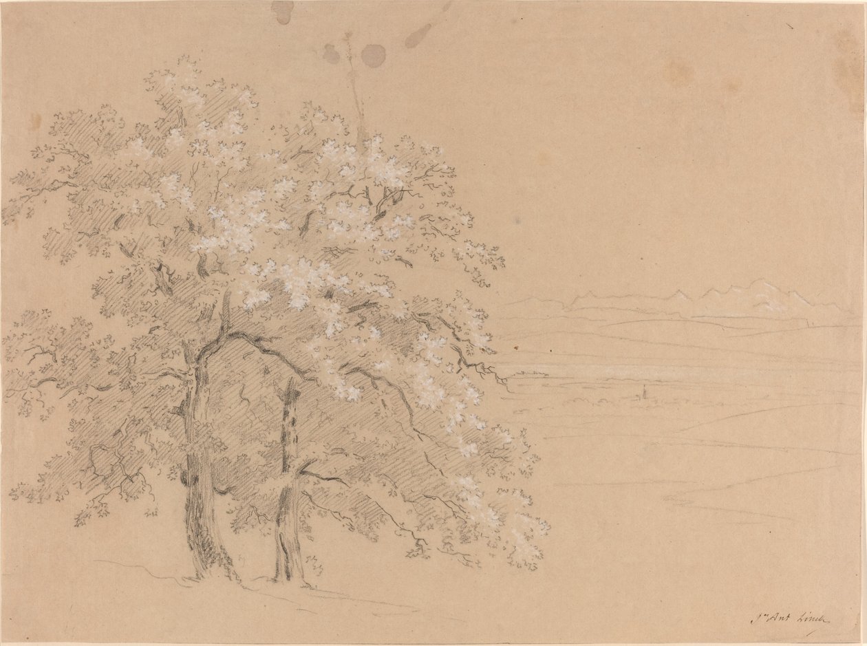 Solbelyste trær før et panoramalandskap av Jean Antoine Linck