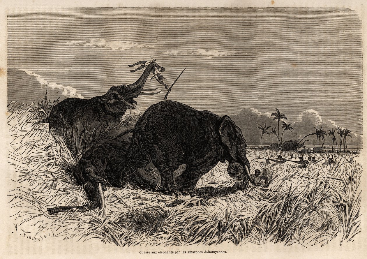 Jakten på elefanter av Dahomyan Amazons av Jean Antoine Valentin Foulquier