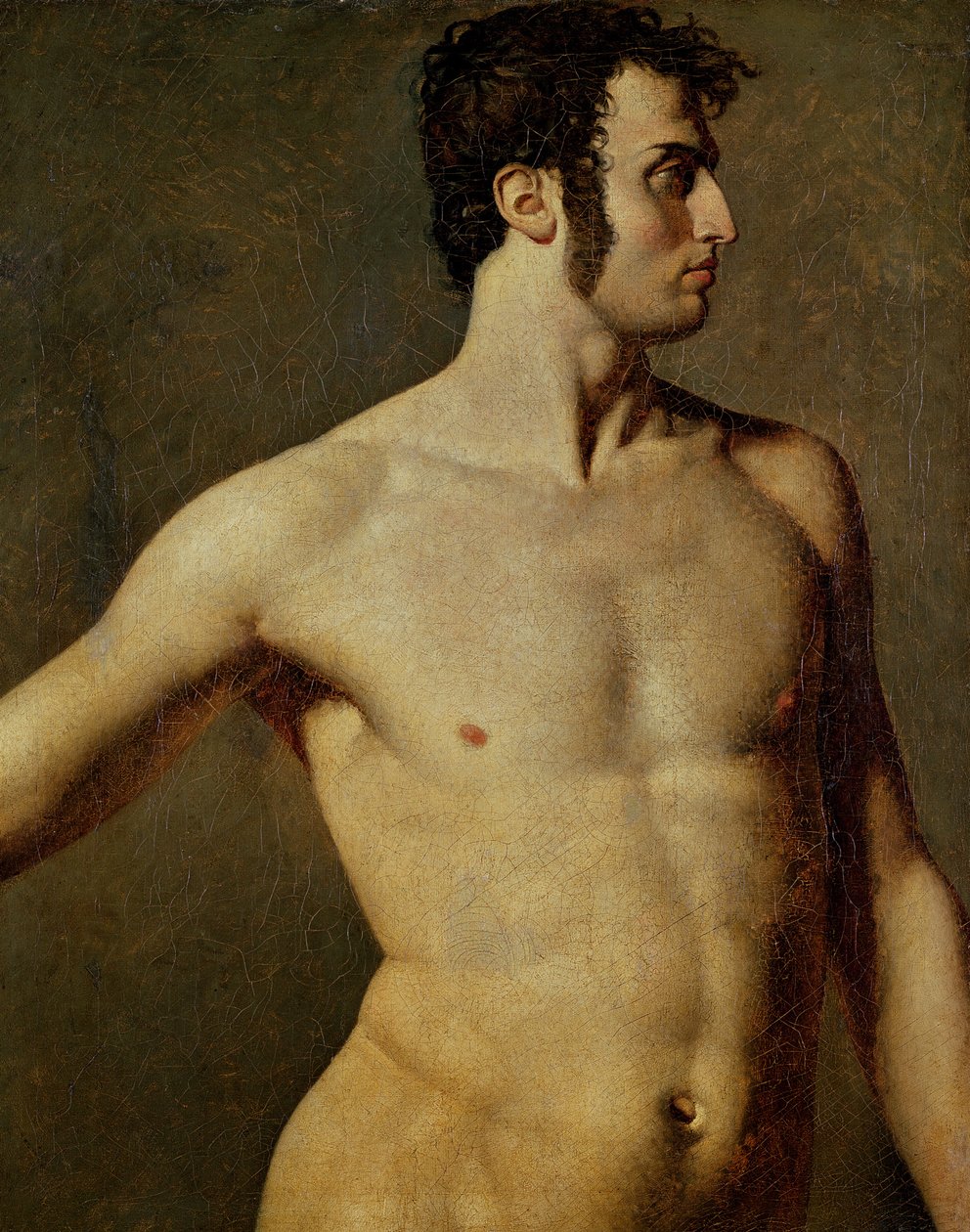 Mann overkropp av Jean Auguste Dominique Ingres