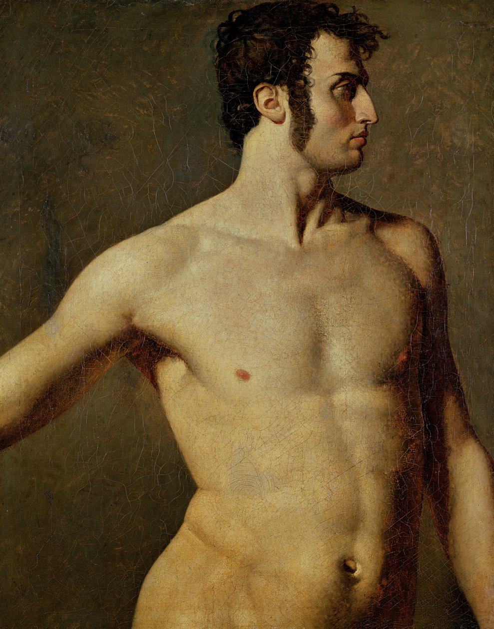 Mannlig overkropp, ca. 1800 (olje på lerret) av Jean Auguste Dominique Ingres