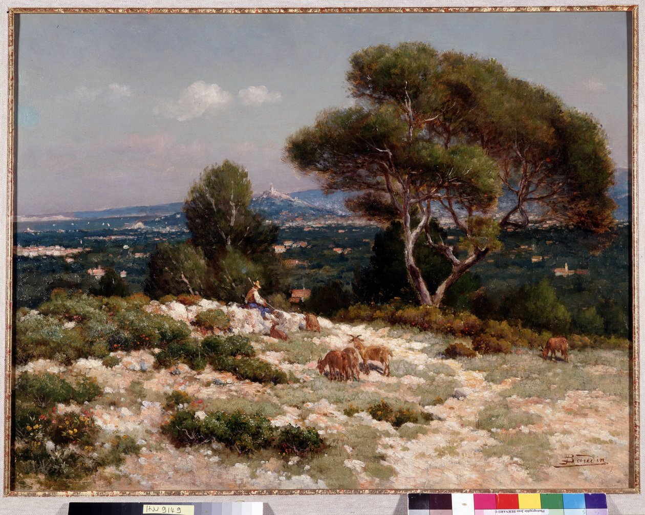 Hyrder på høyden av Saint Loup i Marseille Maleri av Jean Baptiste Baudin (1856-1922) Dim. 48x63 cm Obligatorisk omtale: Samlingsstiftelsen hilsen Provence, Marseille av Jean Baptiste Baudin