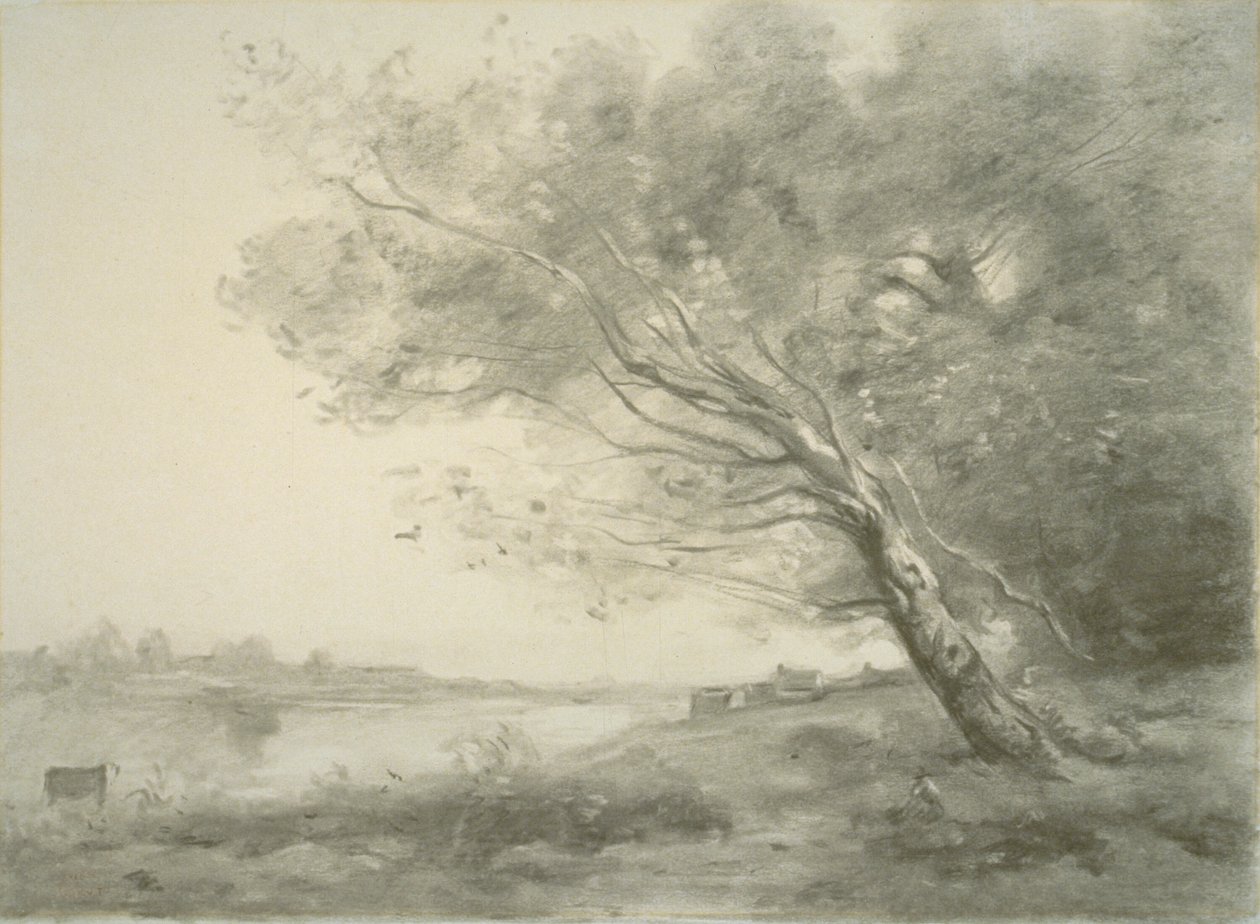 Bøyd tre ved vannet av Jean Baptiste Camille Corot
