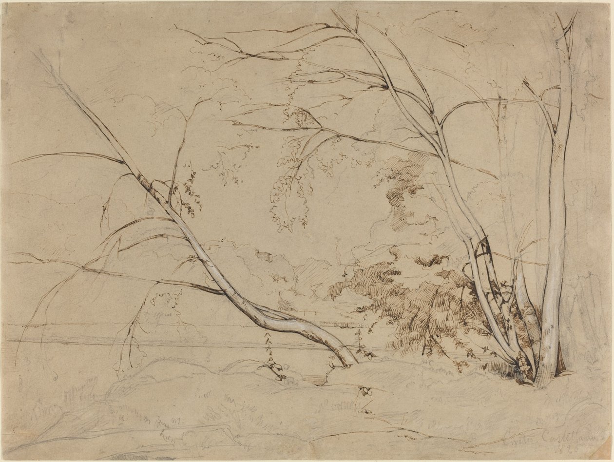 Treklump ved Civita Castellana, 1826. av Jean Baptiste Camille Corot
