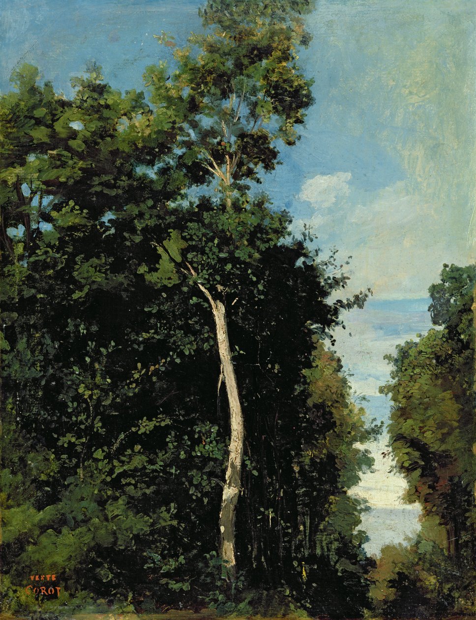 The Wood on the Cote de Grace i Honfleur (olje på lerret lagt om bord) av Jean Baptiste Camille Corot