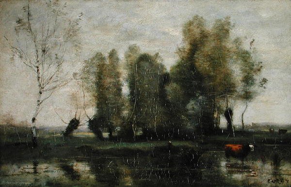 Trær i et myrlandskap, ca. 1855-60 (olje på lerret) av Jean Baptiste Camille Corot