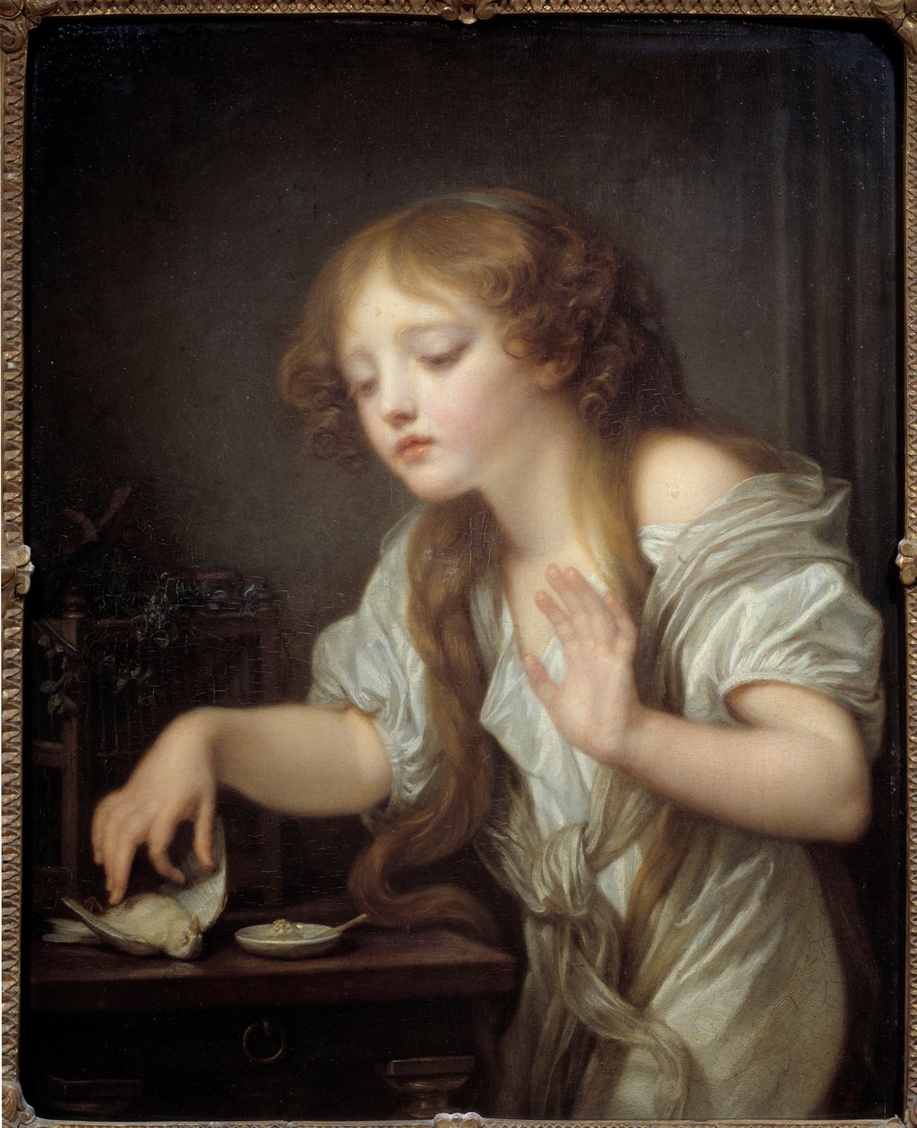 Ung jente nølende med å ta på en fugl i frykt for at den er død eller den døde fuglen Maleri av Jean Baptiste Greuze (1725-1805) 1800 Søn. 0,68x0,55 m av Jean Baptiste Greuze