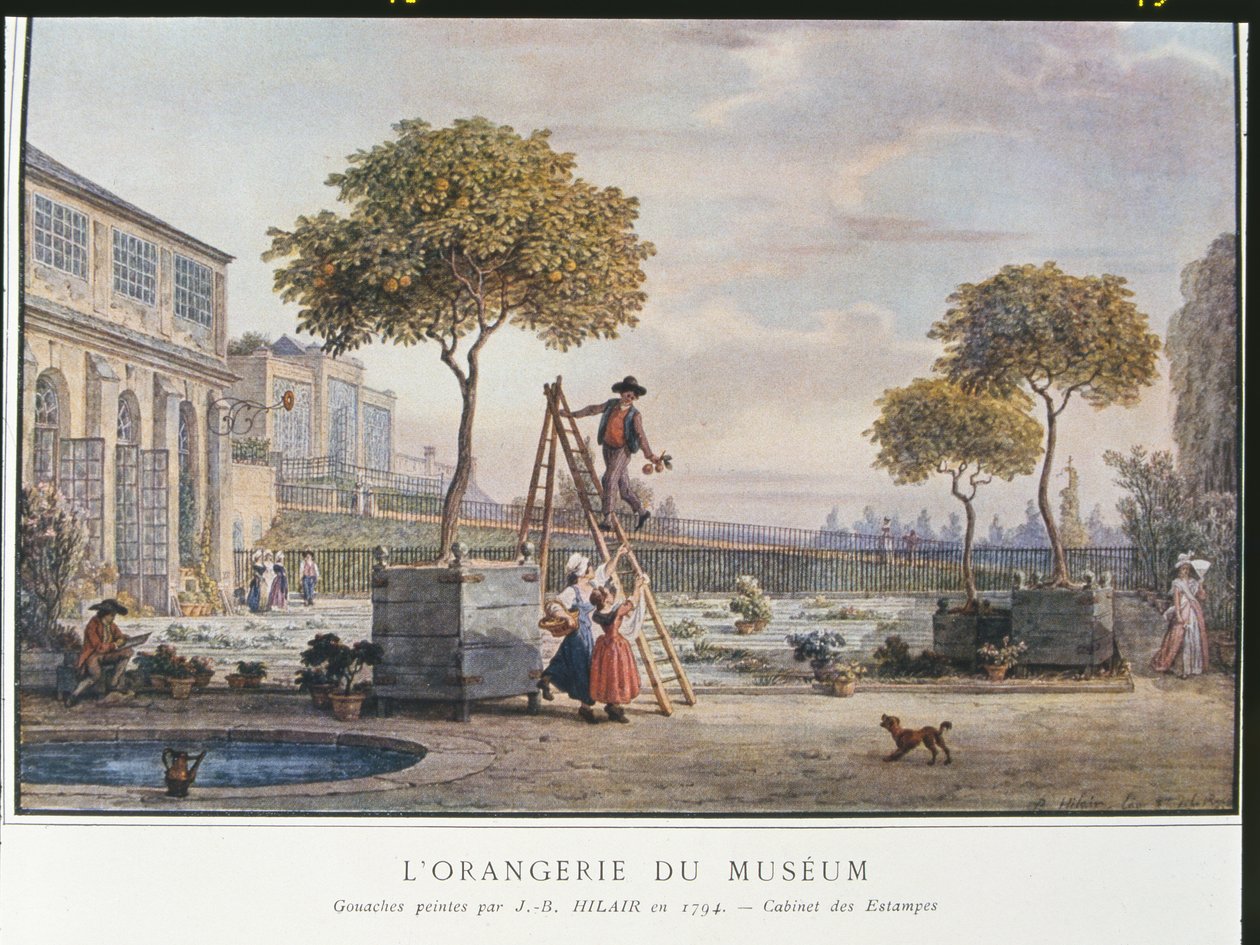 Orangeriet på museet i Paris i 1794 av Jean Baptiste Hilair