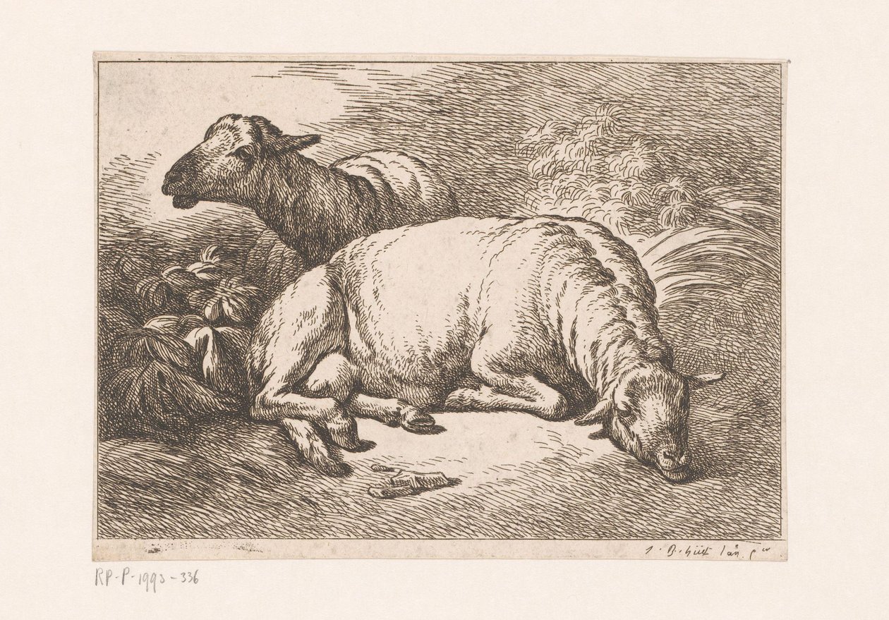 To sauer Ulike forestillinger av Huet (serietittel) Cahiers d