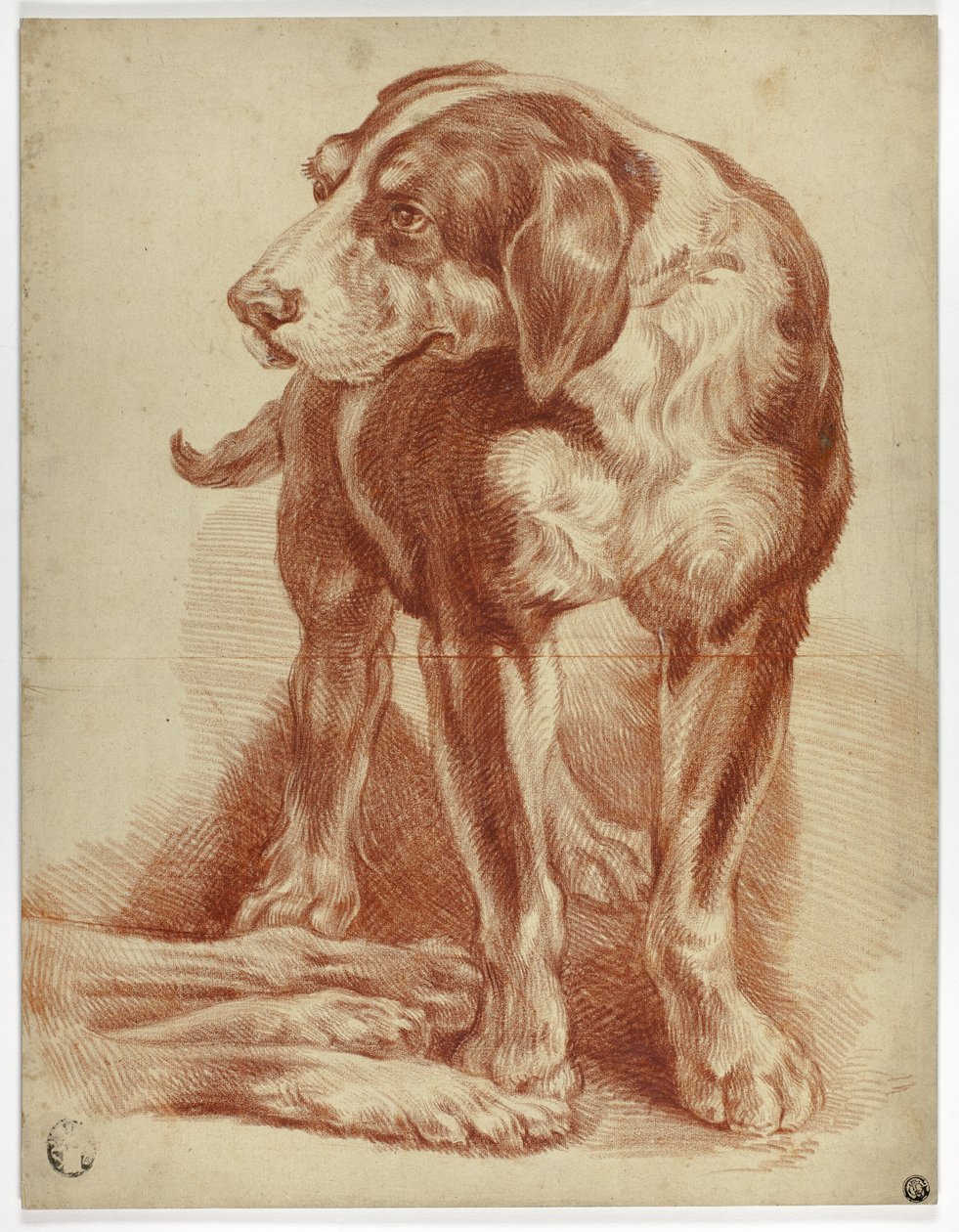  av Jean Baptiste Huet