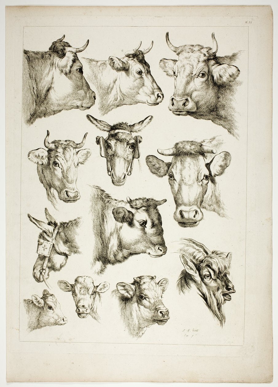 Plate 35 av 38 fra Oeuvres de J. B. Huet av Jean Baptiste Huet