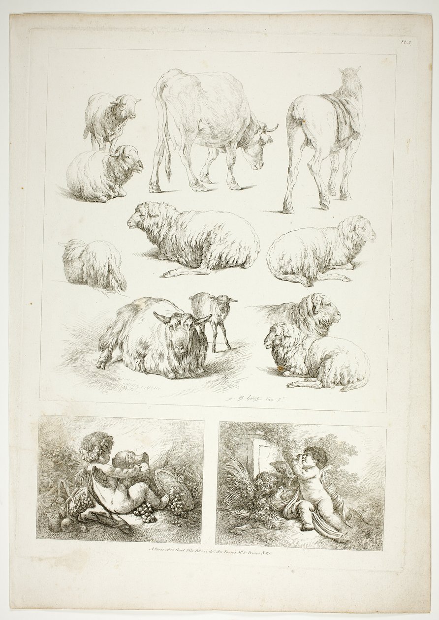 Plate åtte av 38 fra Oeuvres de J. B. Huet av Jean Baptiste Huet