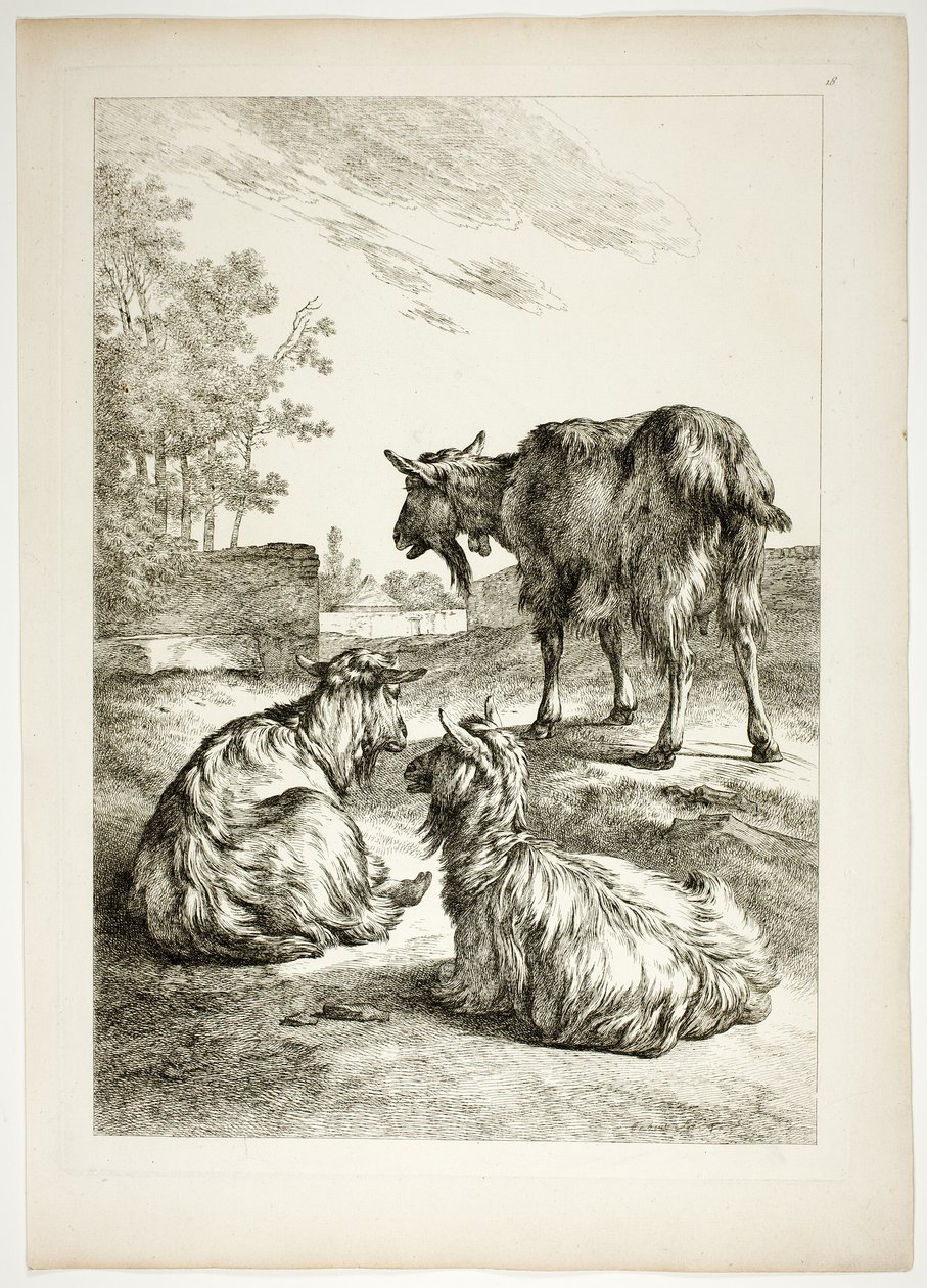 Plate atten av 38 fra Oeuvres de J. B. Huet av Jean Baptiste Huet