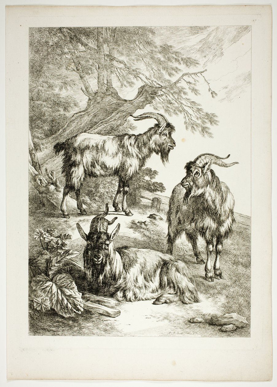 Plate Sytten av 38 fra Oeuvres de J. B. Huet av Jean Baptiste Huet