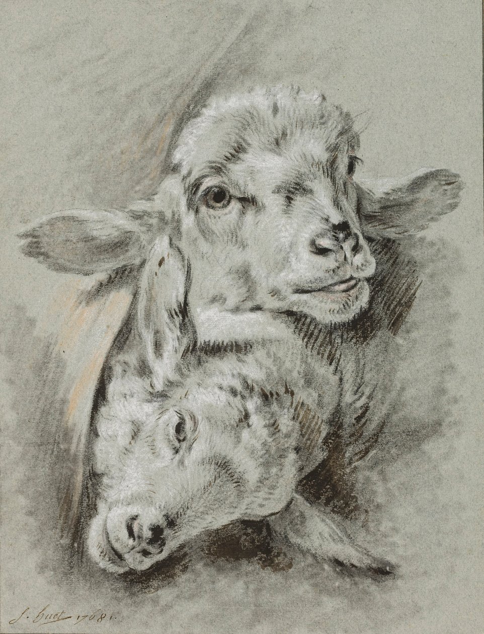 Studie av to sauer, 1768 (kritt og vask på papir) av Jean Baptiste Huet