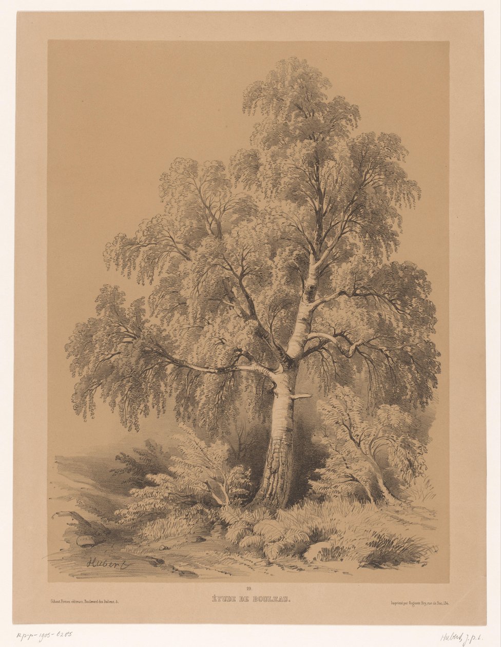 Studie av een Berk Birch Study (tittel på objekt) Lommebok av Jean Baptiste Louis Hubert (serietittel) An Artist