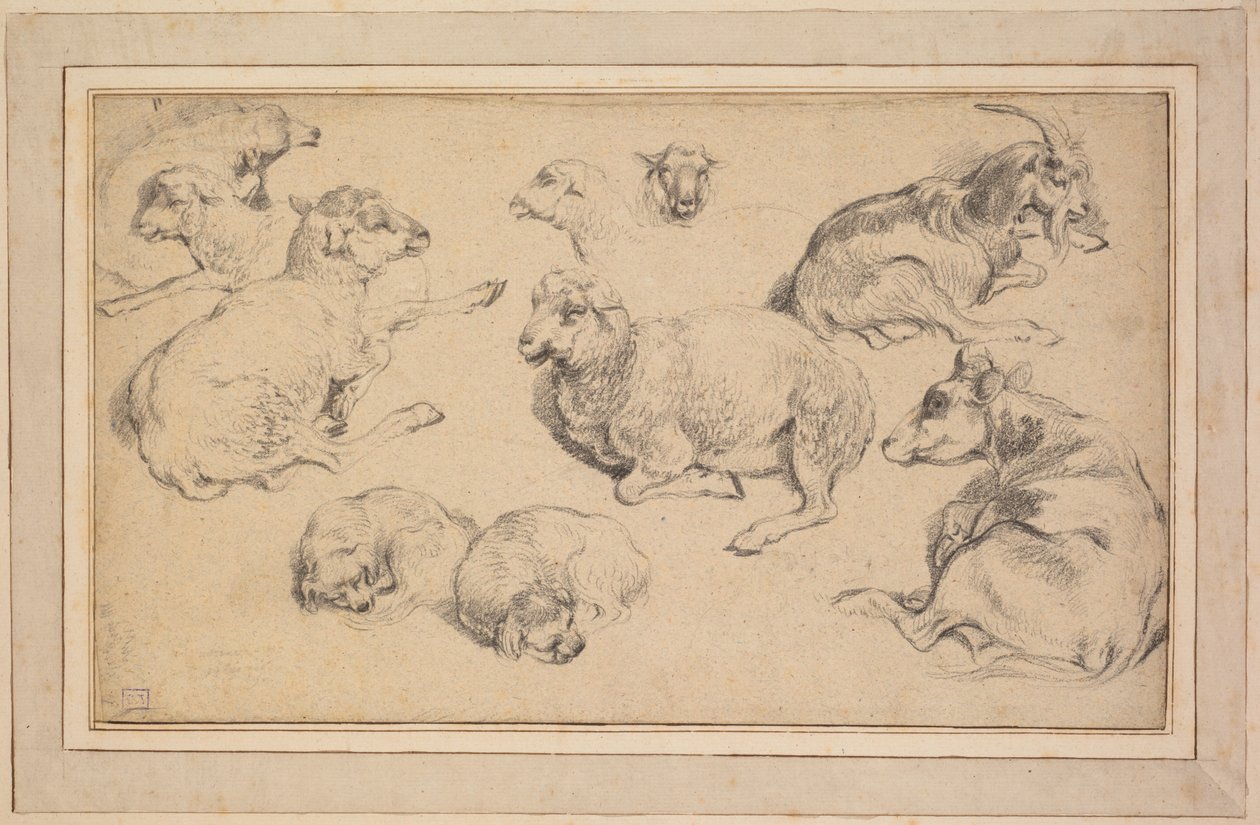 Ark med studier med sauer, geiter og hunder, ca. 1780. av Jean Baptiste Marie Huet