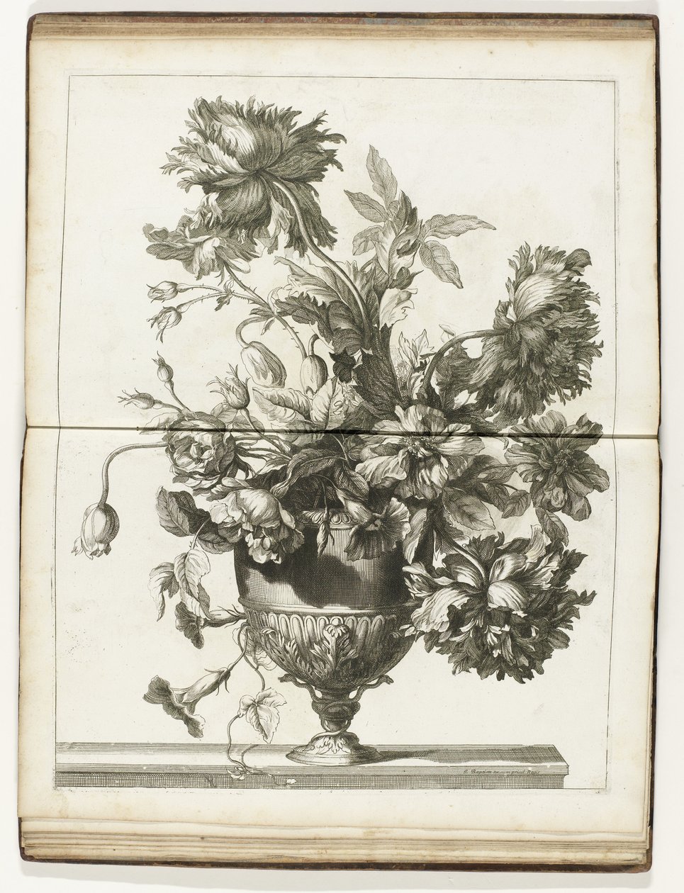 Bloemenvaas Books of Several Vazes of Flowers laget etter Natural (serietittel) av Jean Baptiste Monnoyer