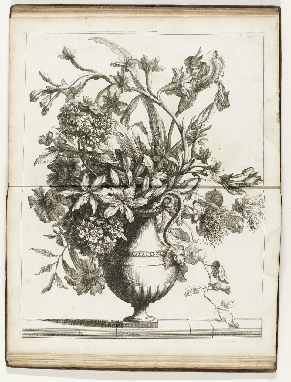 Bloemenvaas Books of Several Vazes of Flowers laget etter Natural (serietittel) av Jean Baptiste Monnoyer