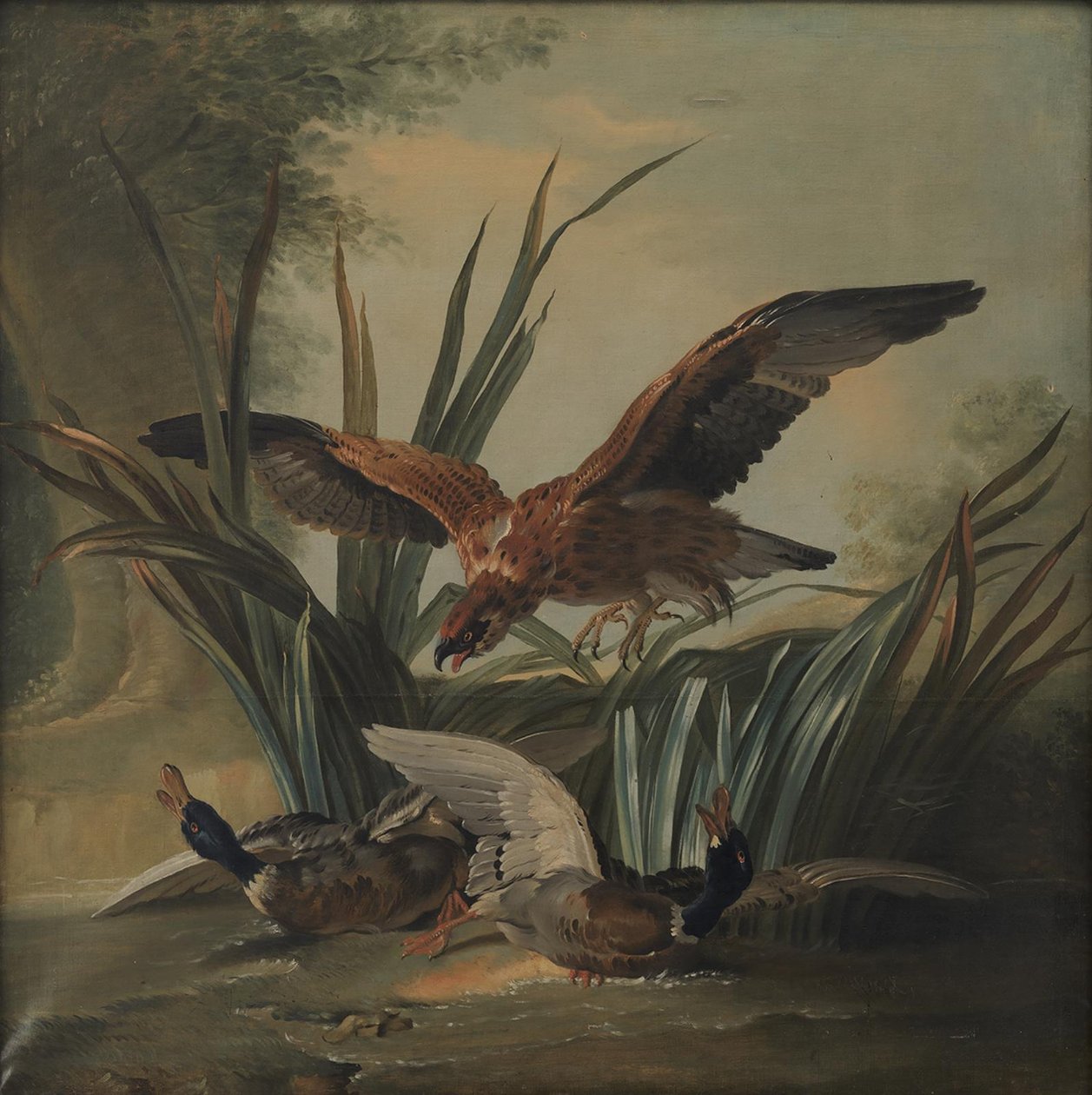 En hauk som slår på et par ender av Jean Baptiste Oudry