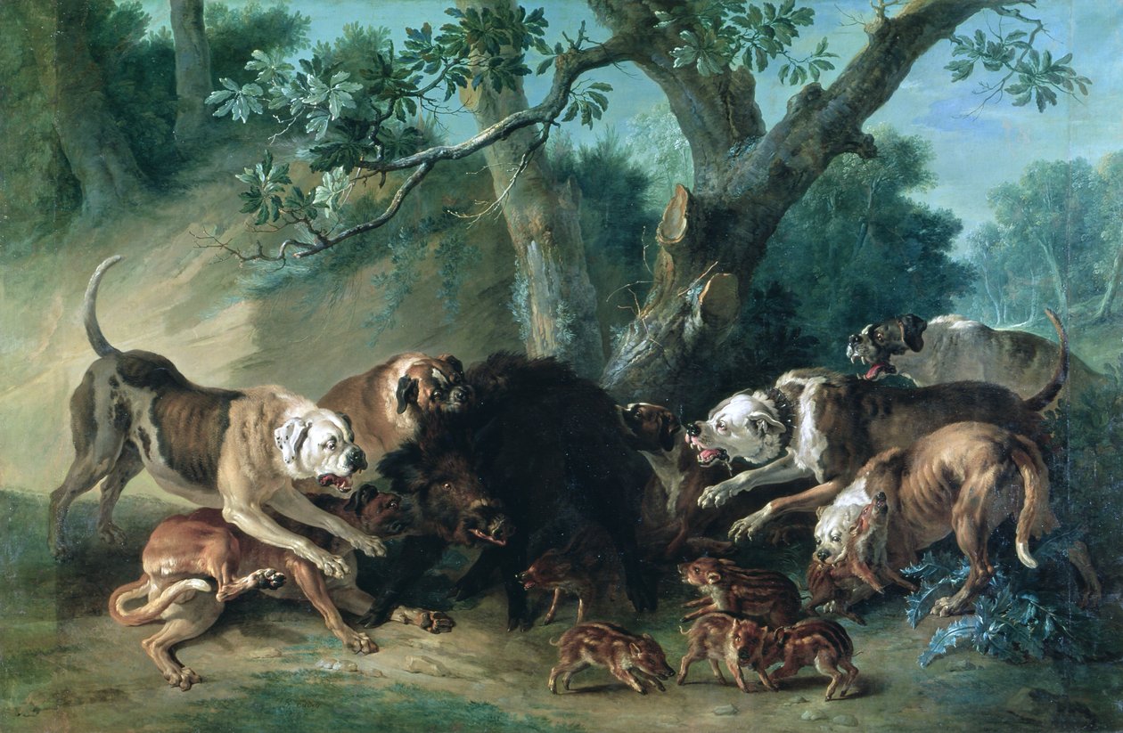 En vill purke og hennes unge angrepet av hunder av Jean Baptiste Oudry