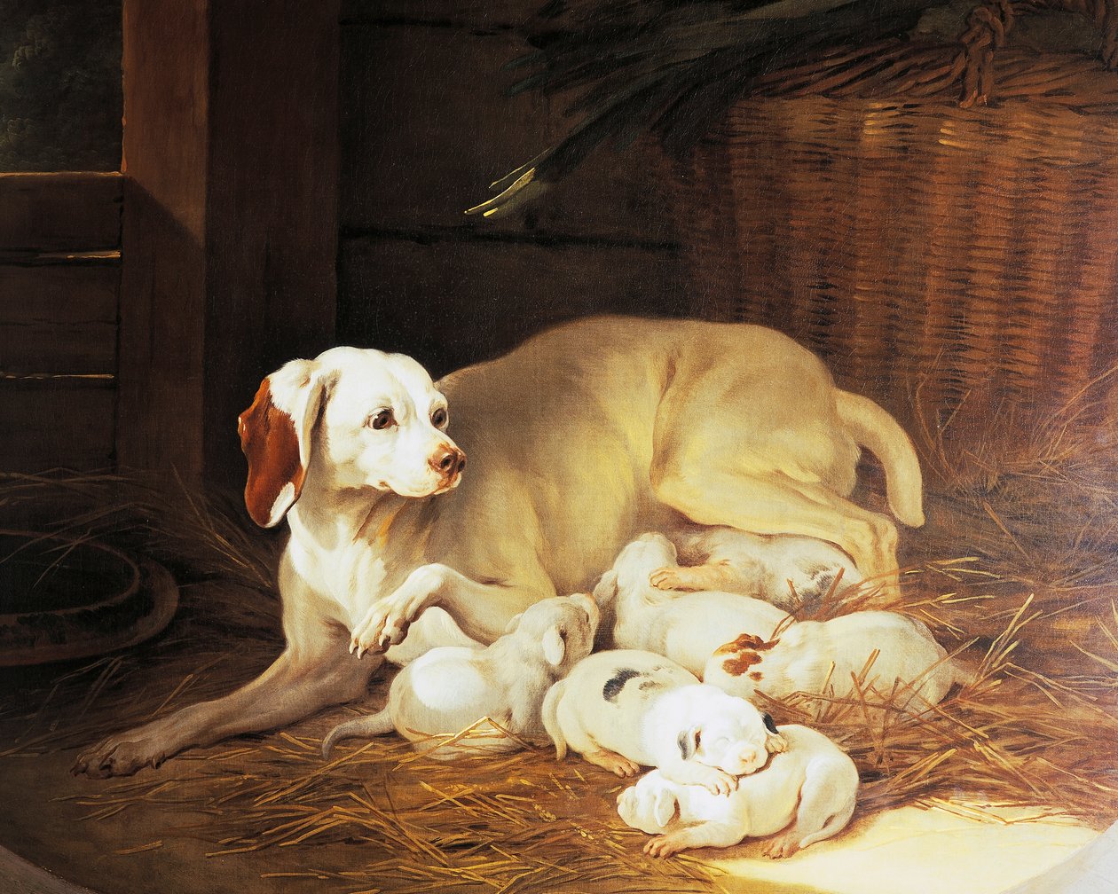 Tispe diende valper, detalj fra Lise et ses petits, av Jean-Baptiste Oudry (1686-1755), Frankrike av Jean Baptiste Oudry