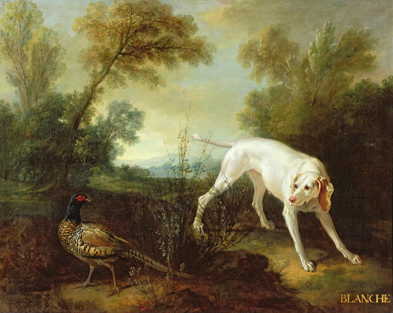 Blanche, tispe fra Royal Hunting Pack av Jean Baptiste Oudry