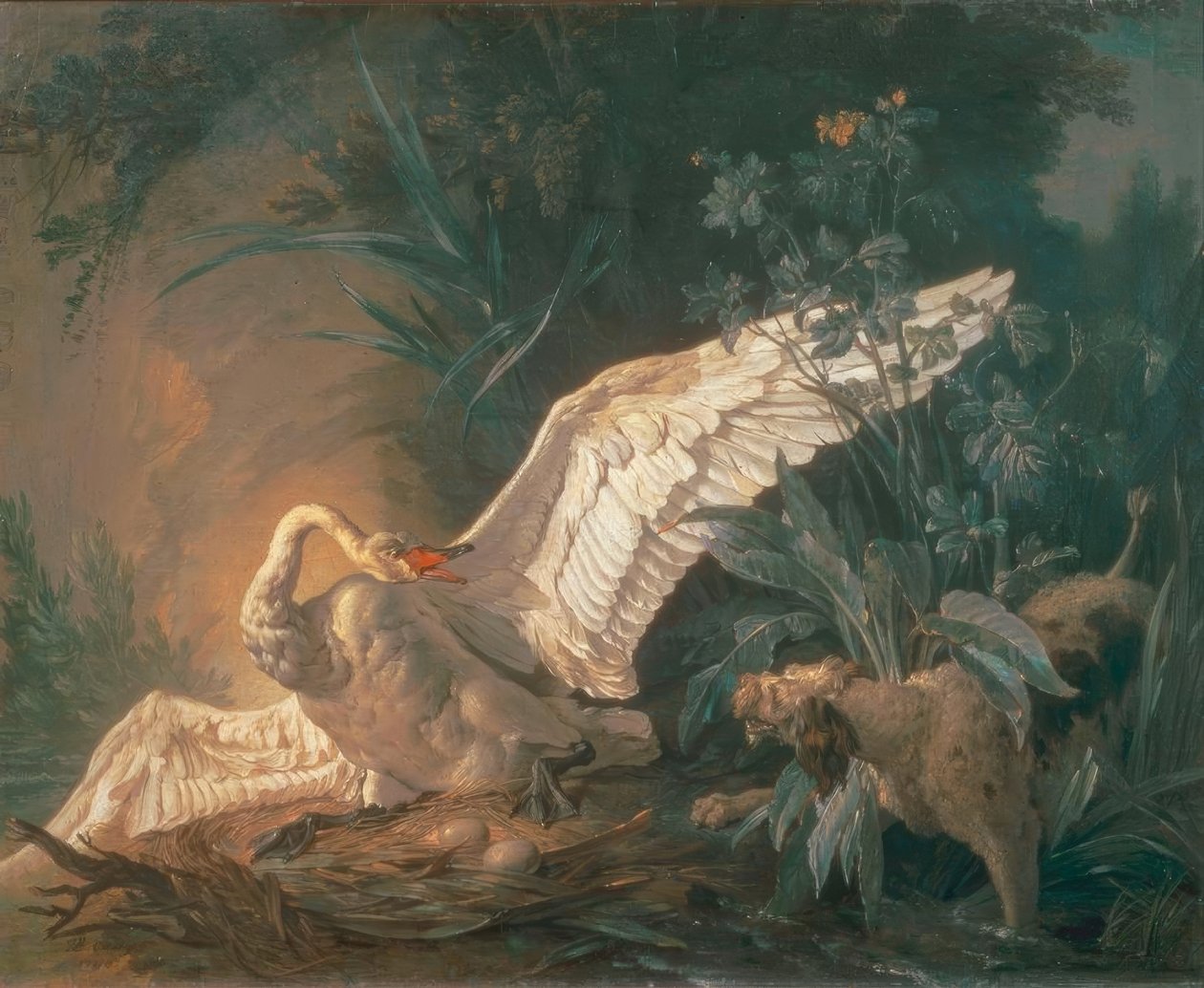 Barbet-hund angriper en svane i reiret av Jean Baptiste Oudry