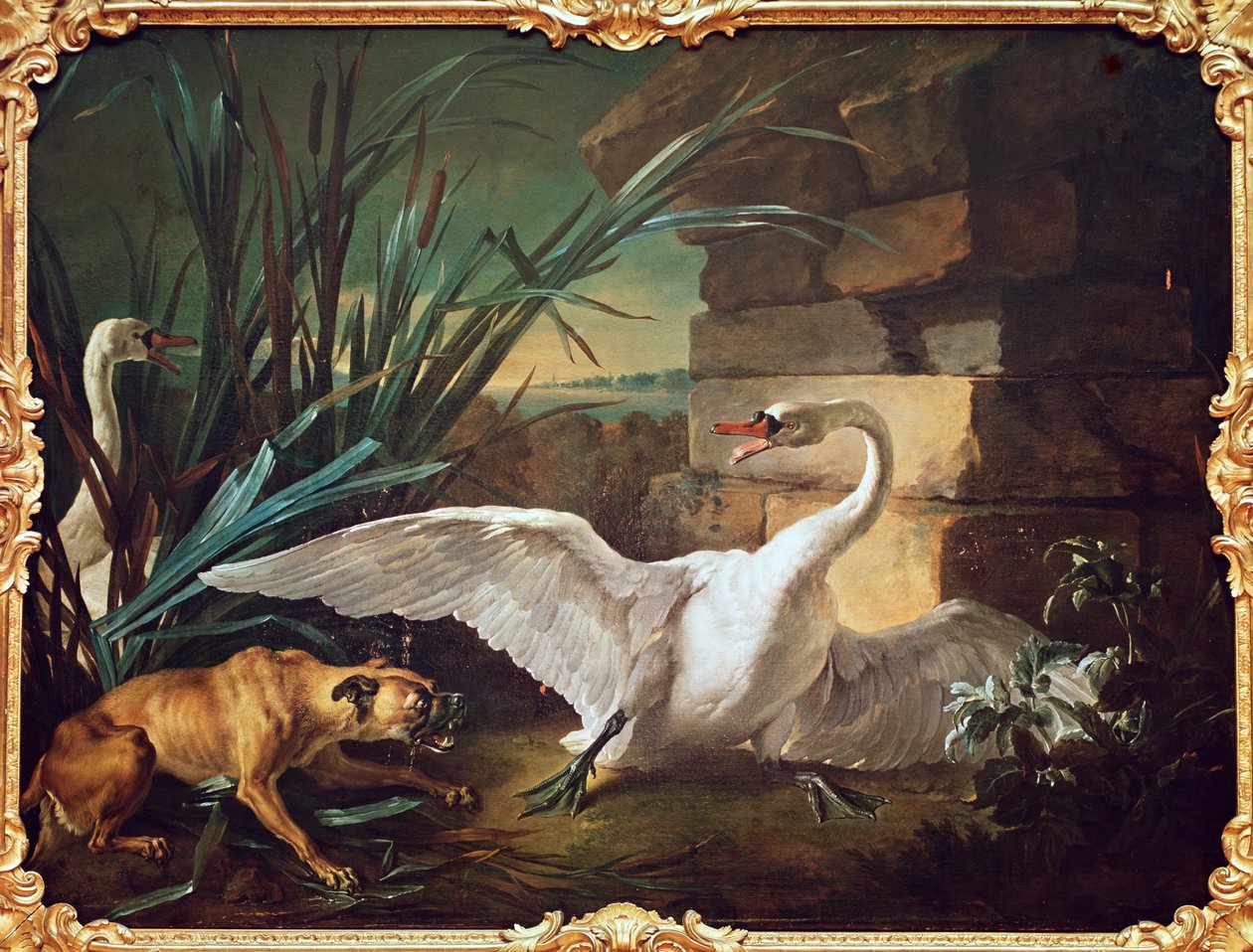 Hund og svaner av Jean Baptiste Oudry