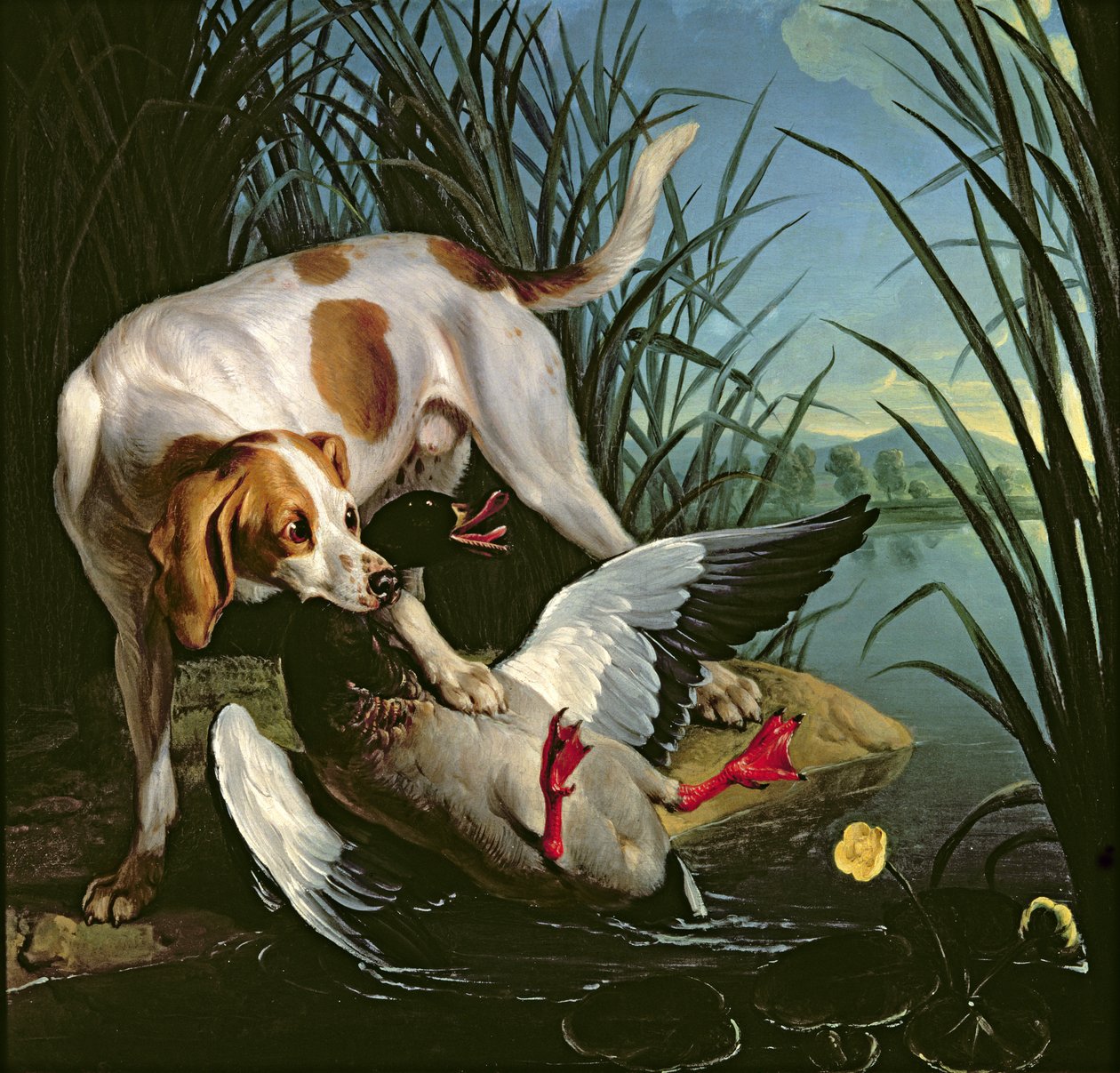 Hund med en villand av Jean Baptiste Oudry
