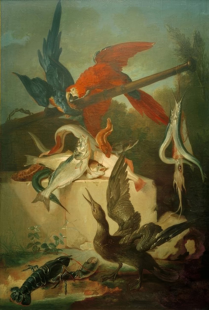 Fisk, sjøfugl og papegøyer av Jean Baptiste Oudry
