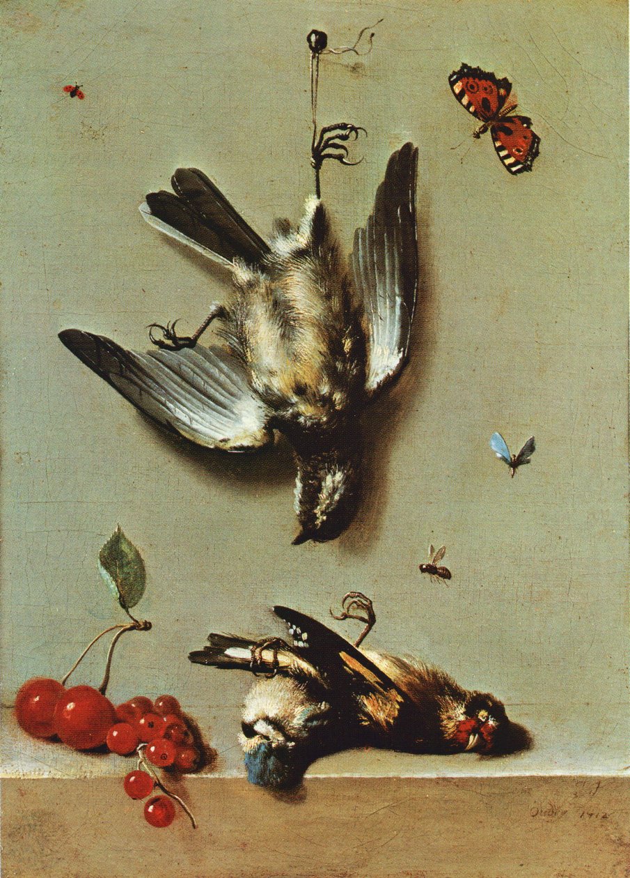 Stilleben med tre døde fugler, rips, kirsebær og insekter av Jean Baptiste Oudry