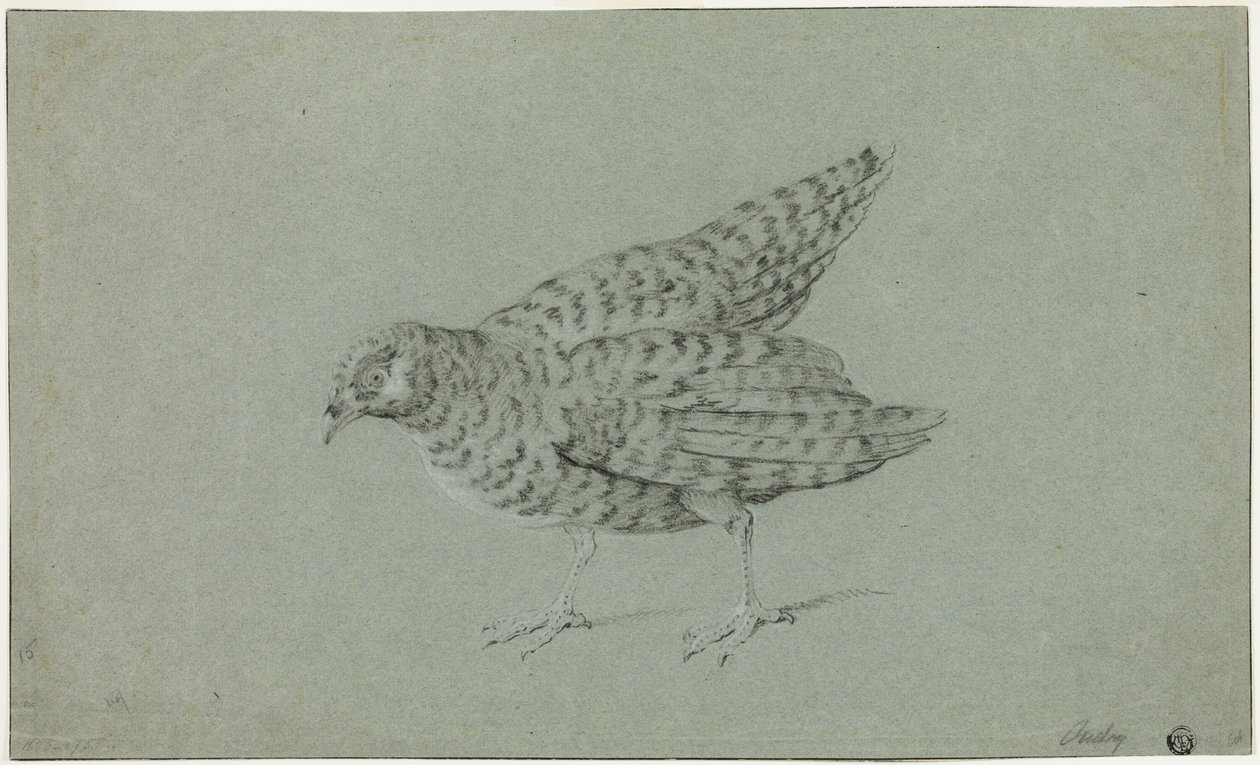 Rapphøne av Jean Baptiste Oudry