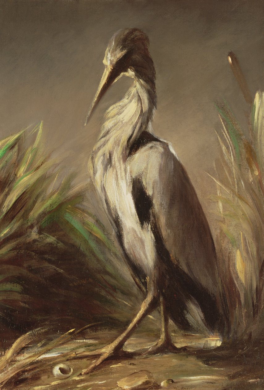 Ukjent bilde av Jean Baptiste Oudry