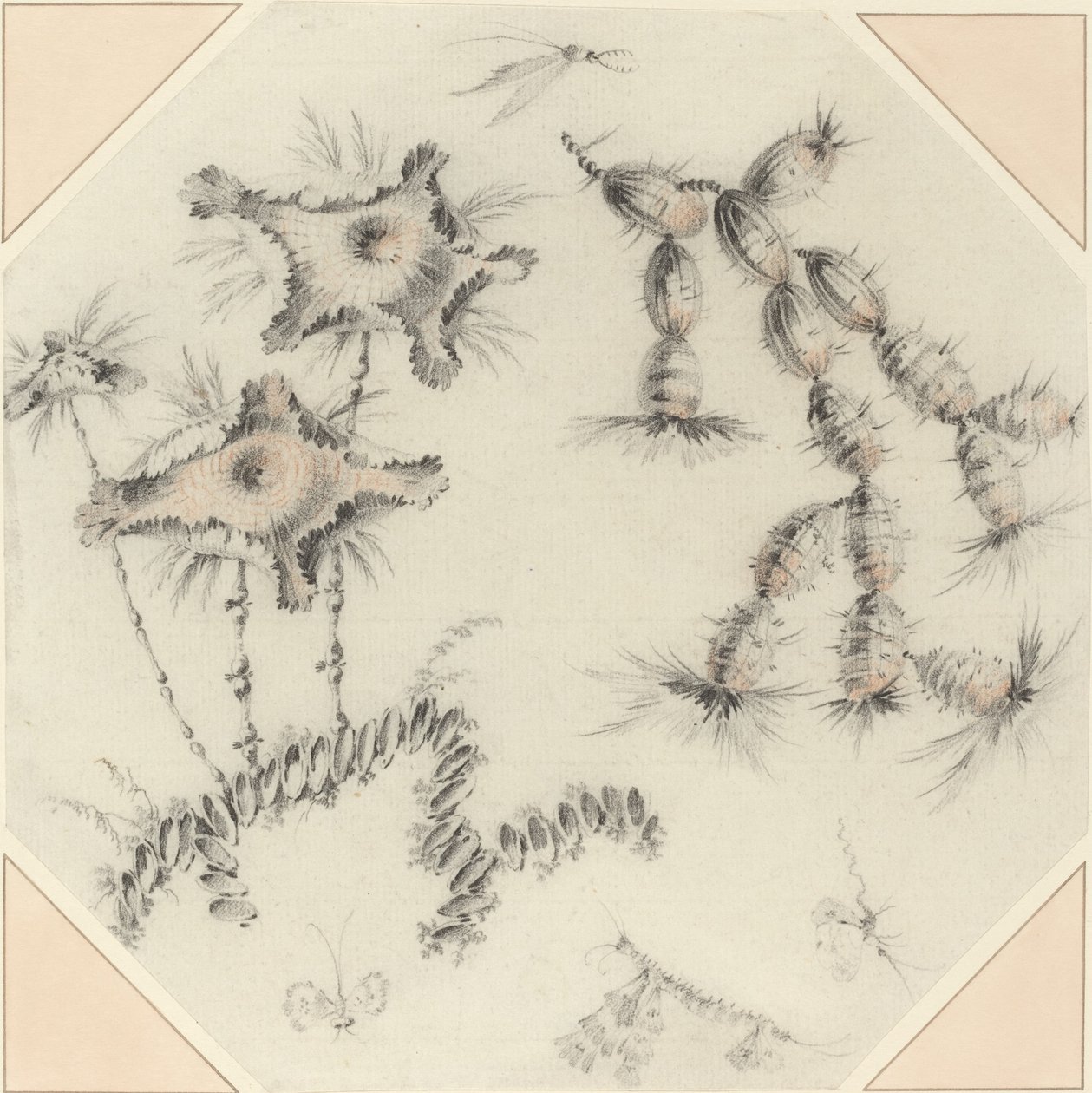 Bambusblomster og kaktus av Jean Baptiste Pillement