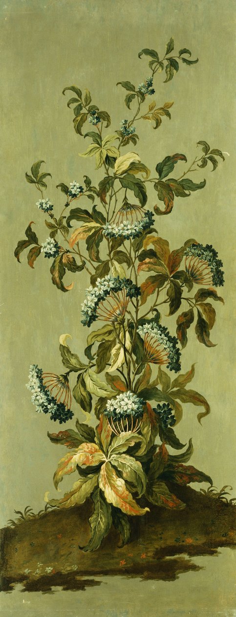 Dekorative paneler med blomster av Jean Baptiste Pillement
