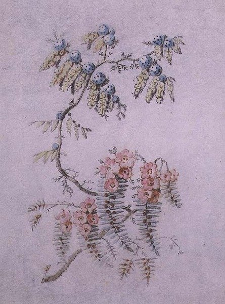 Dekorativ studie av blomster og bær av Jean Baptiste Pillement